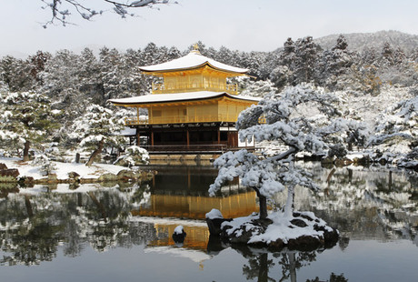 雪の金閣寺（雪化粧）　画像